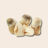 Paddy Straw Mushroom Grain Spawn 1.5kg (472)